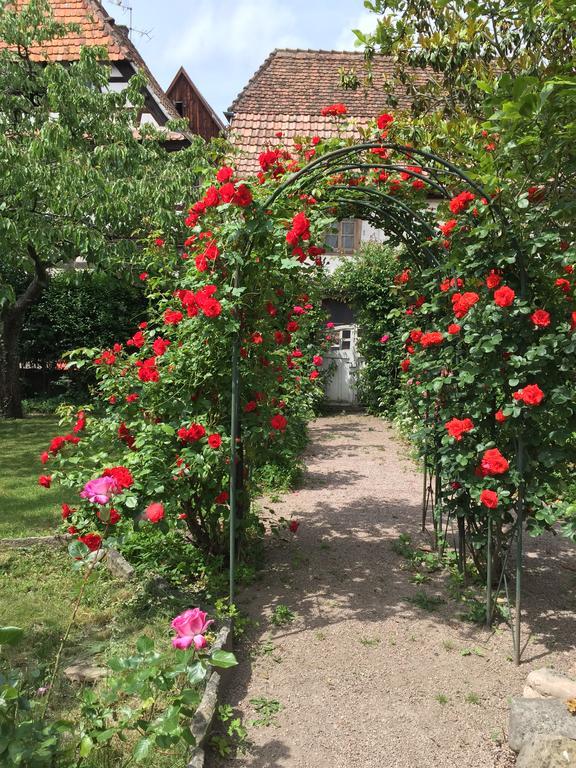 La Cour Zaepffel Lejlighed Dambach Eksteriør billede